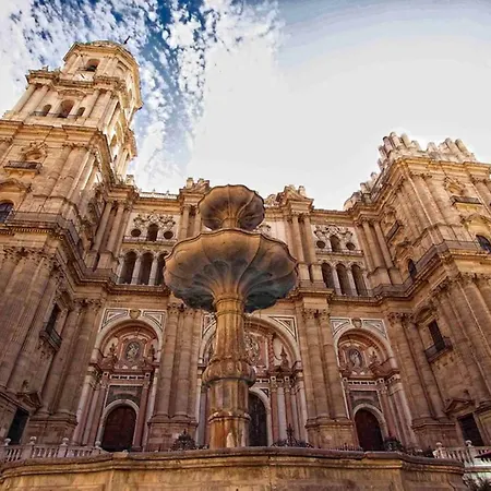 Cute Center Málaga